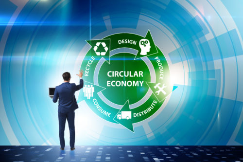 Impact of Circular Packaging & Recycling on Sustainability