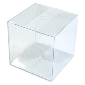 Cube Clear Pet Box